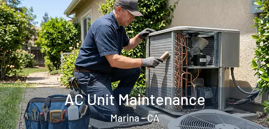 AC Unit Maintenance Marina - CA